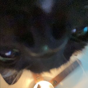 Meet your Posher, Nate